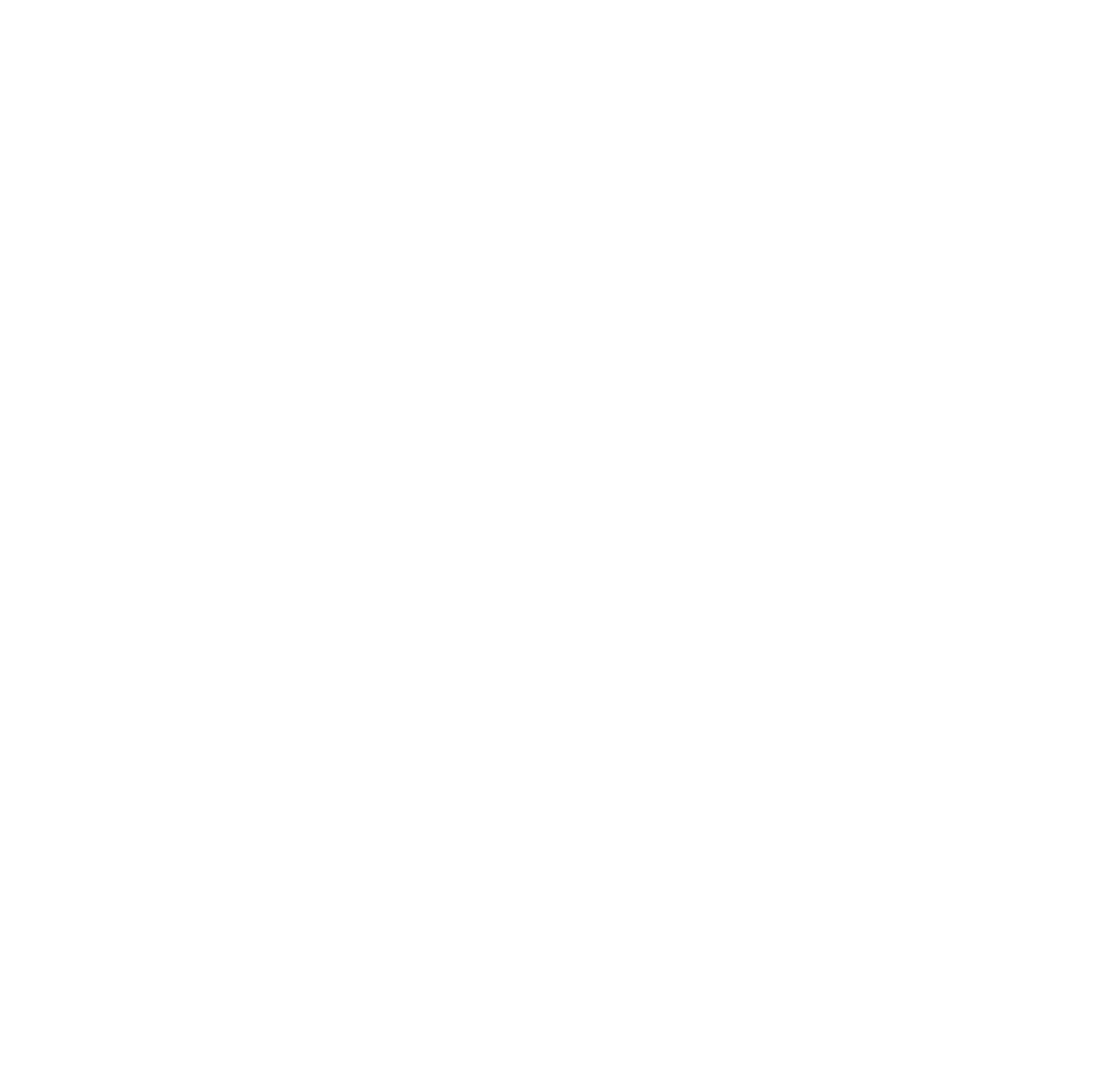 Sea Lion Boards