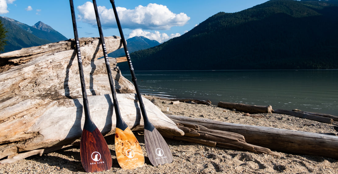 1-piece, 2-piece, and 3-piece SUP paddles - what's the difference?
