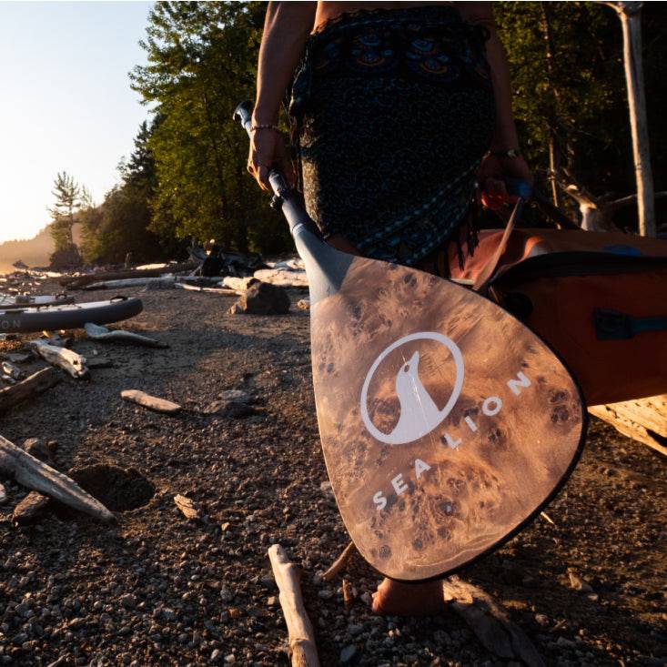 1 Piece Carbon FX35 Paddle - Mana X Maple Burl